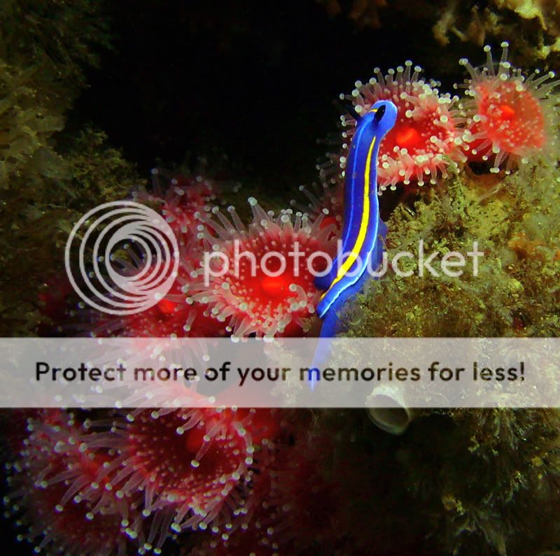 Mporterae2_800.jpg