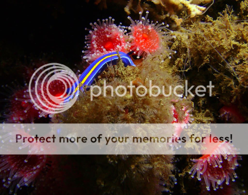 Mporterae3800.jpg
