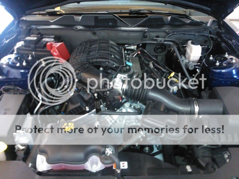 file.jpg