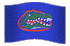 gator flag Pictures, Images and Photos