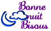 bonnenuitbisous.gif